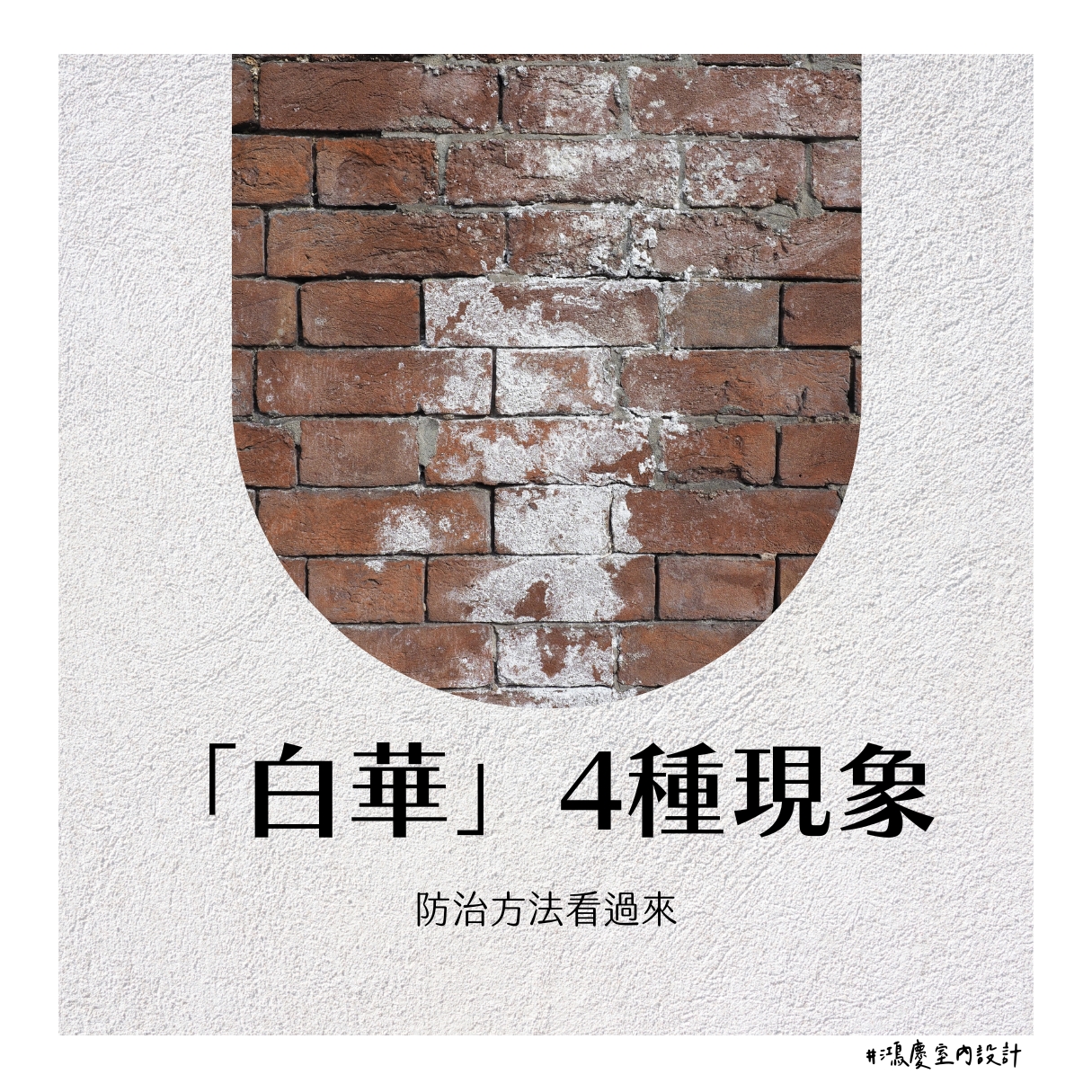 「白華」4種現象!防治方法看過來